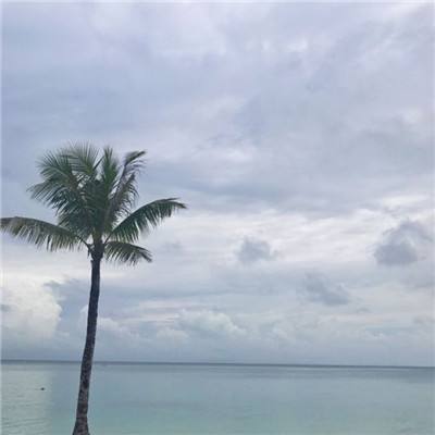 乐虎国际下载手机版